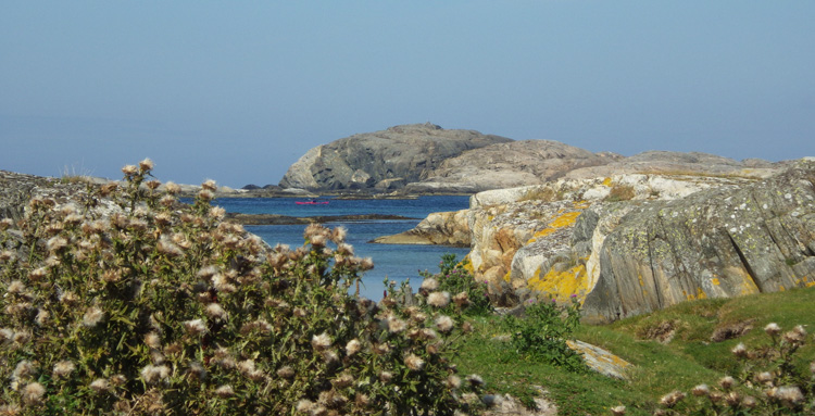 Bild. Utsikt från Vallreö mot Hermanö