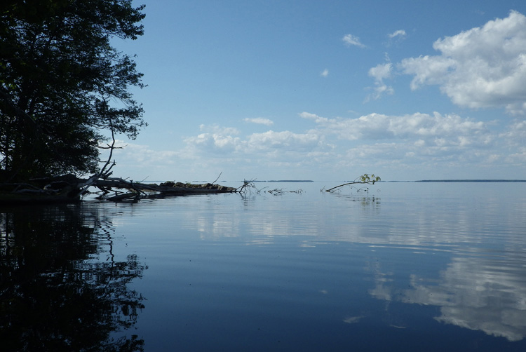 Bild. Hjälmarens vatten är helt stilla.