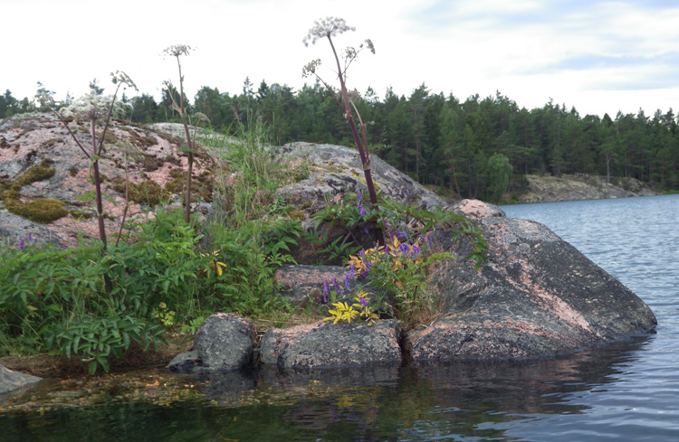 Bild. Sten med blommor.