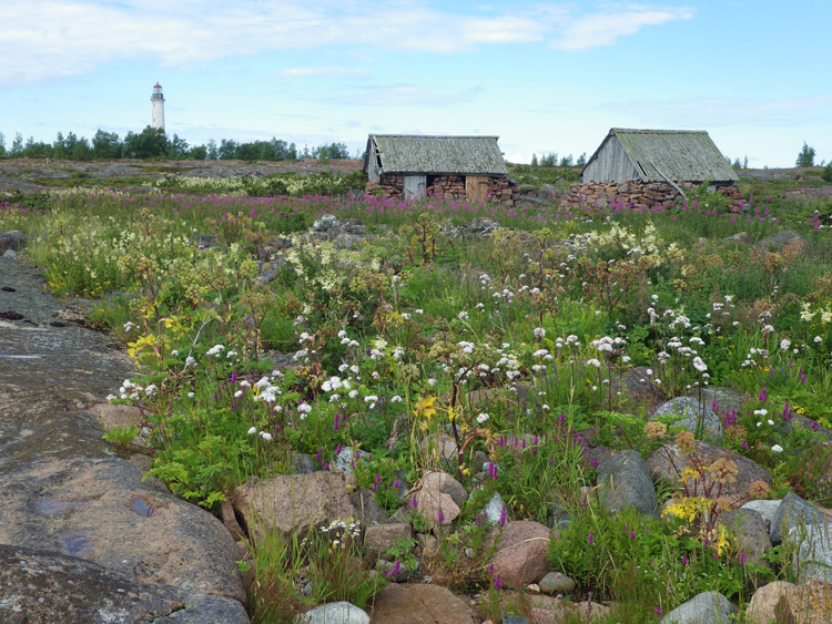 Bild. Saltbodarna På Sälskär. I bakgrunden fyren.