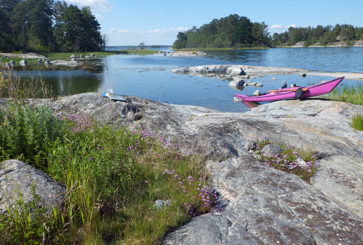 Bild. Lila kajak på öns strand. Blommor. Andra öar och vatten.