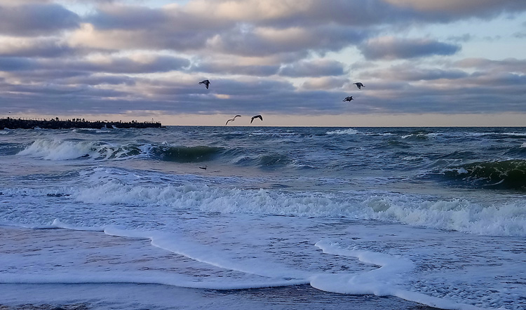 Bild av havet mot piren. Vågor rullar in. Sjöfågel i luften.
