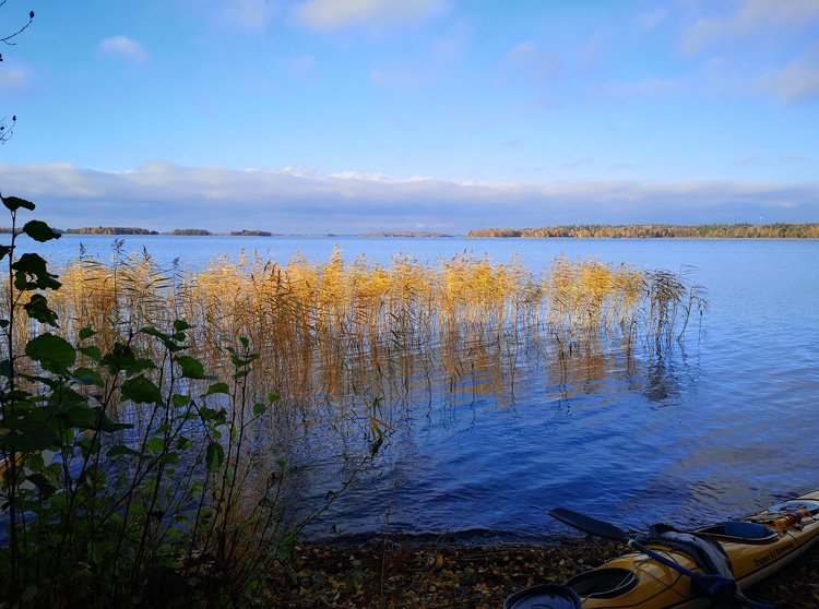 Bild. Utsikt från Aggarön västerut. Kajak, strand, solbelyst vass, fjärd, öar i bakgrunden.